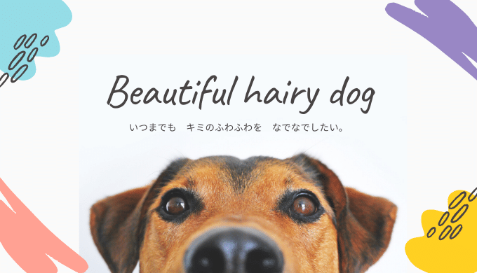 犬の毛並みを良くするには 雑種犬も良質な毛で保てる食事法 ６選 しぜんとくらし